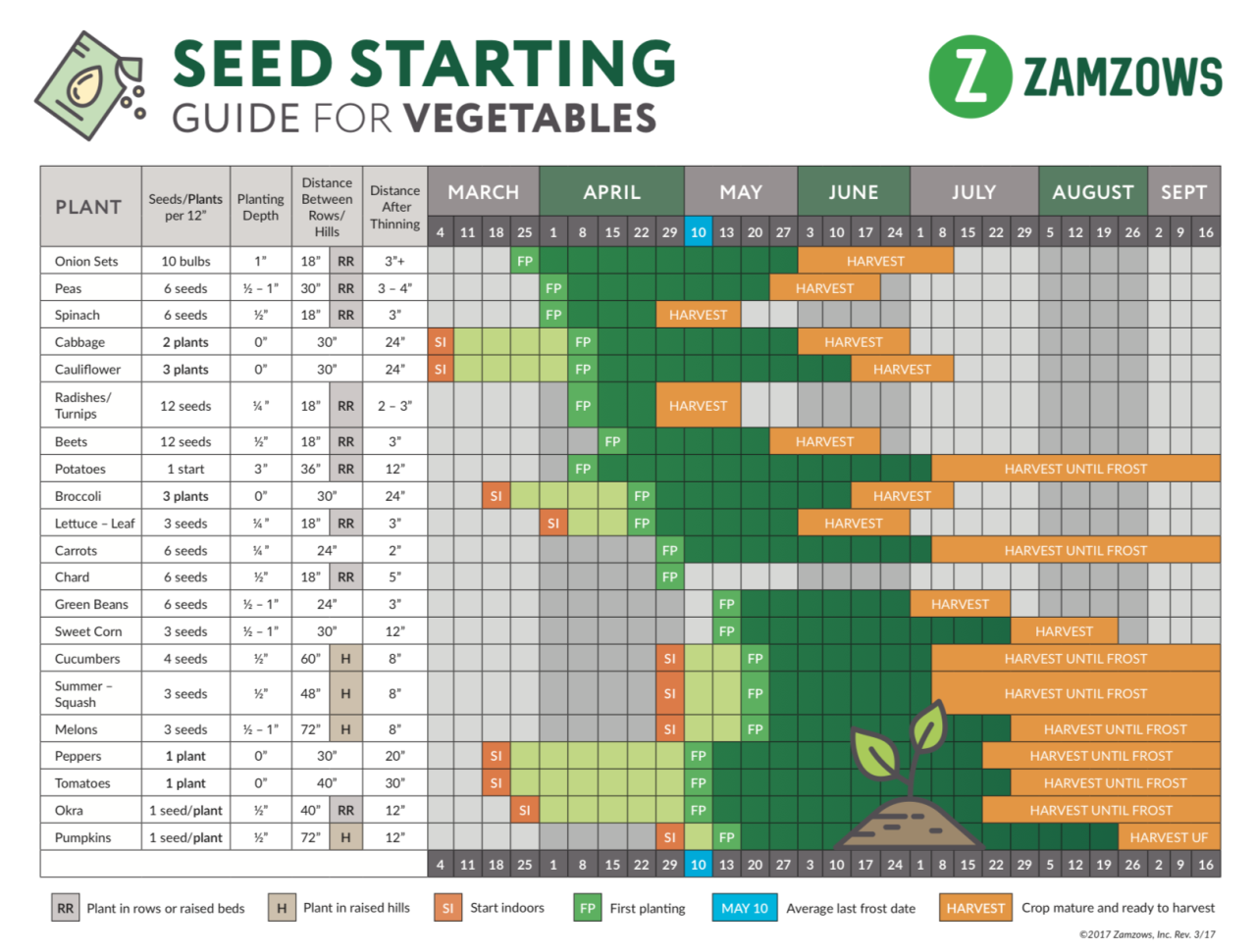 Sowing Grass Seed in the UK: Timing & Tips for Success