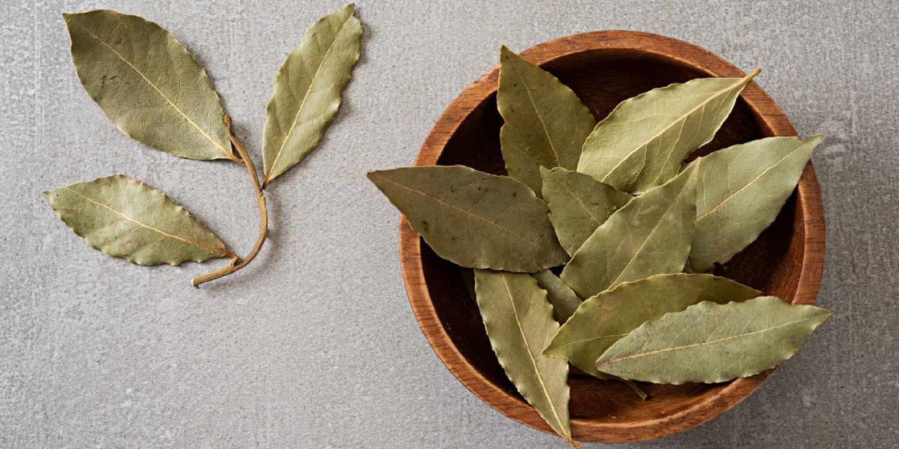 The Essential Guide to Using Bay Leaf Substitutes for Great Flavor