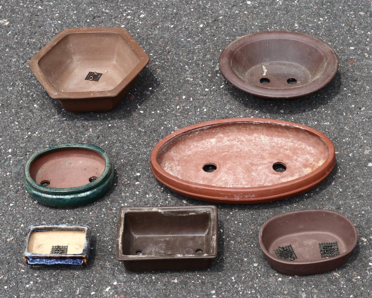 Bonsai Pots: Key Factors to Consider When Selecting