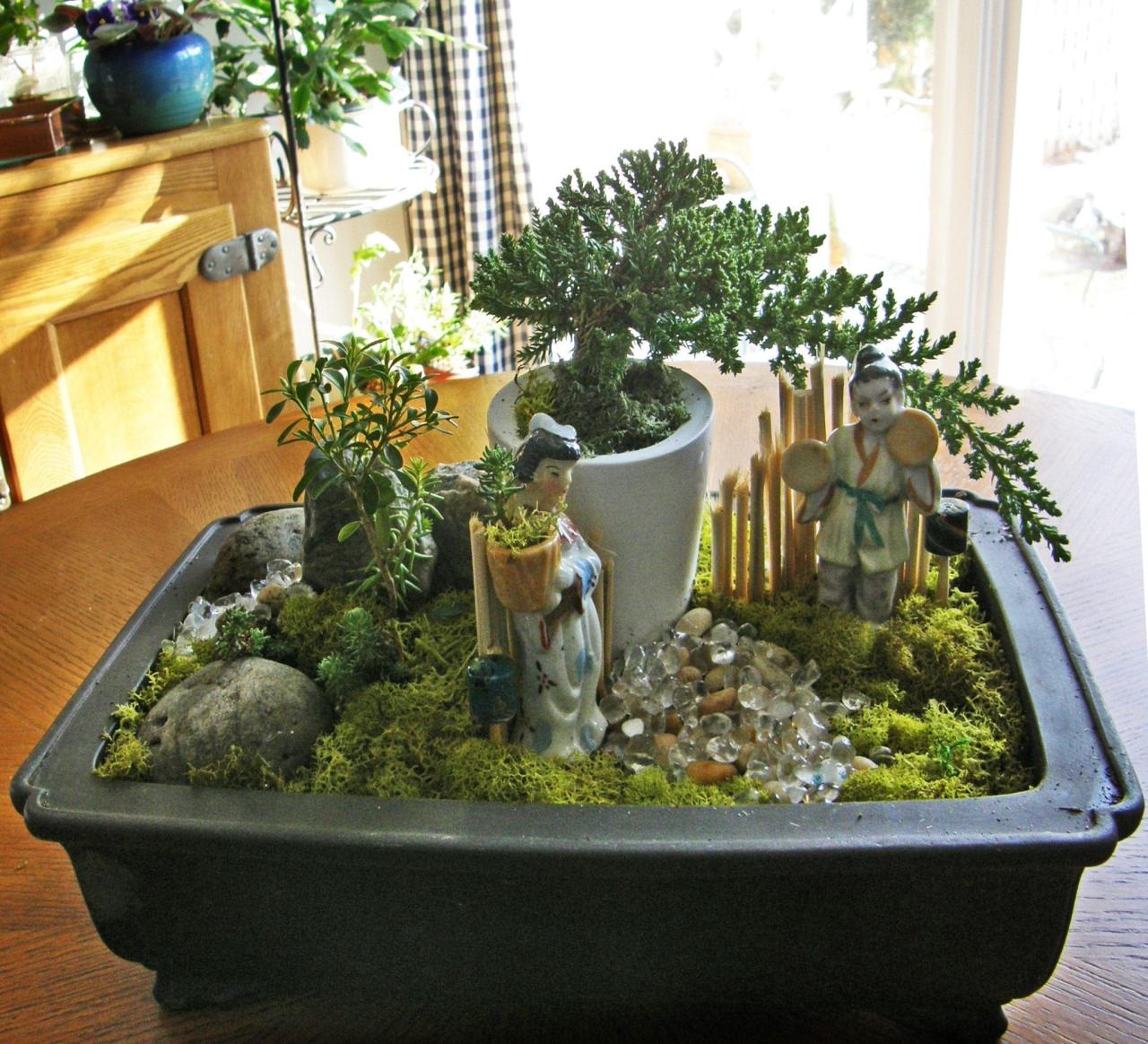 How to Match Your Bonsai Tree with the Ideal Pot