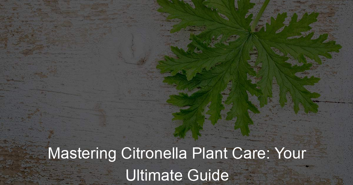 Grow Bug-Free: The Ultimate Guide to Citronella Plant Care